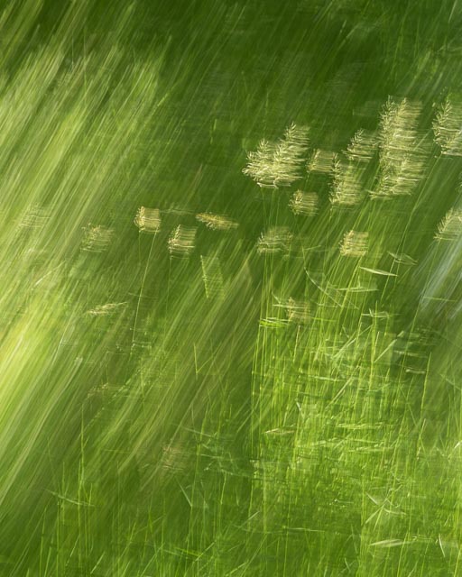 Intentional camera movement- Multiple exposures 12