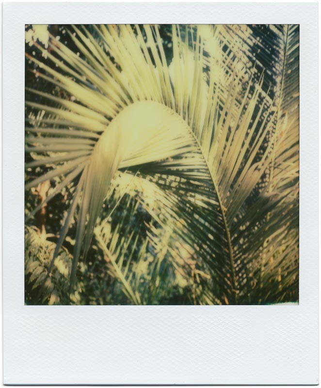 PX70 Color Shade New Color Protection 2