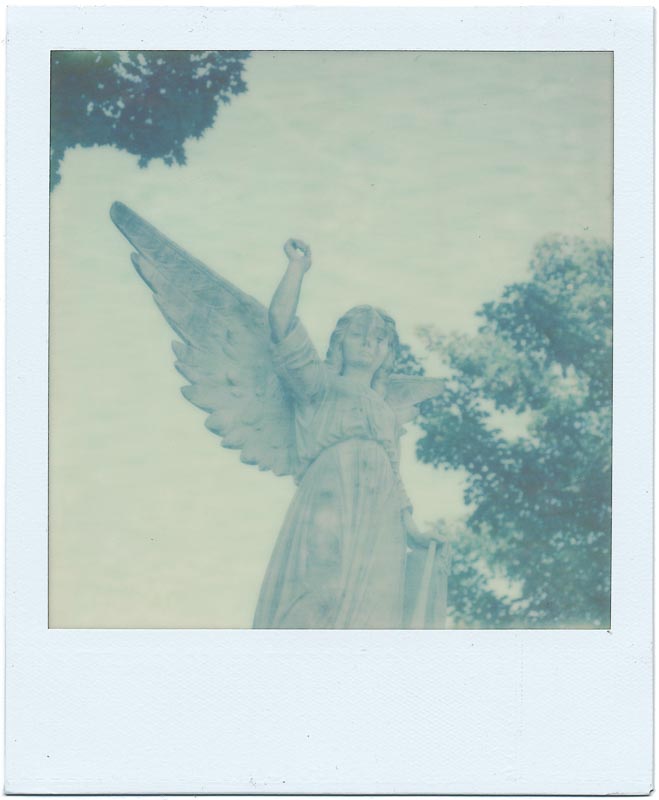 PX70 Color Shade (First Flush) 1