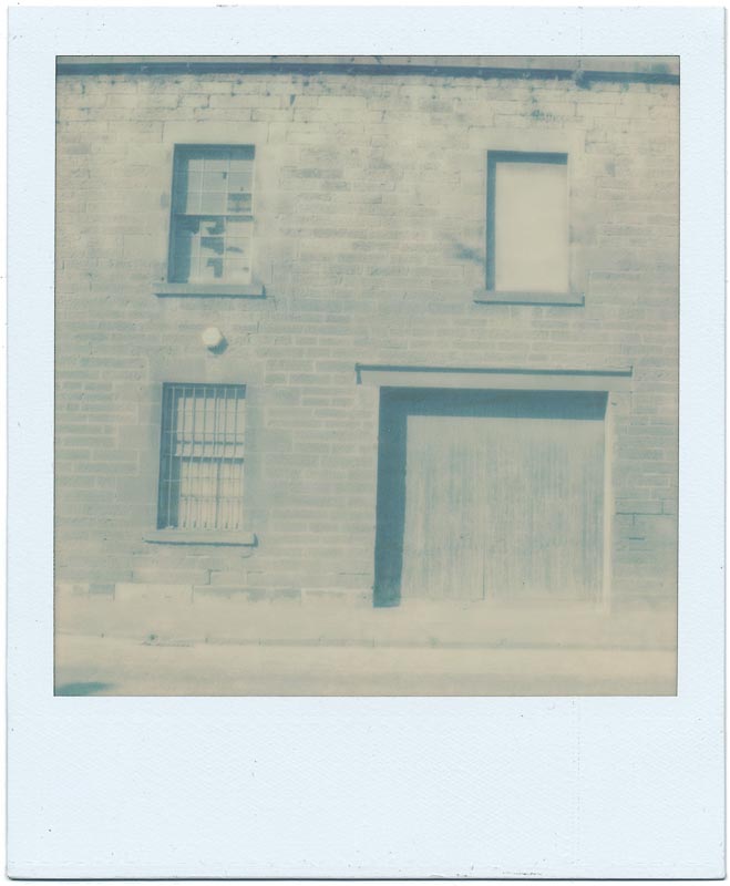 PX70 Color Shade (First Flush) 4