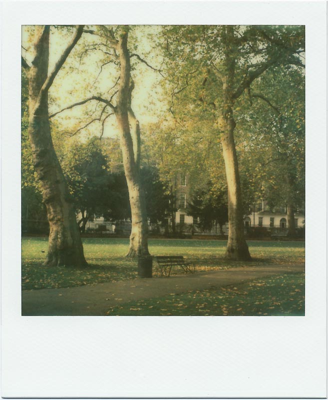 PX70 Color Shade Color Protection 3