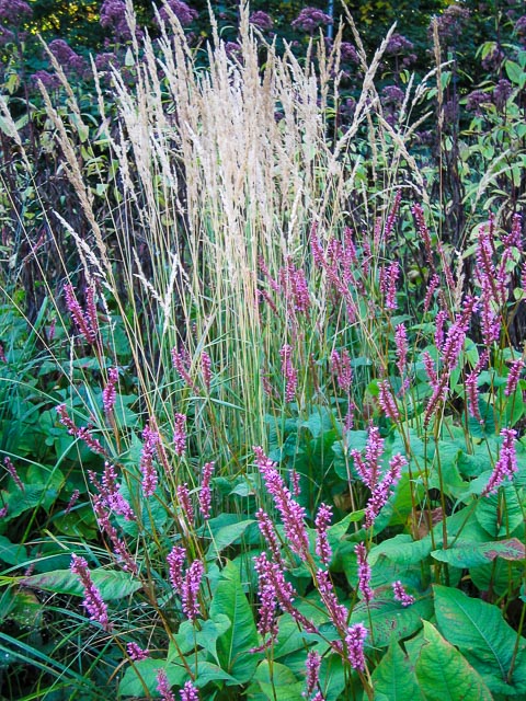 Canon Digital IXUS i gallery - Image 9