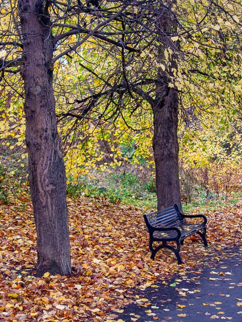 Canon PowerShot S70 gallery - Image 6