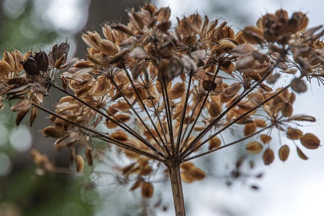 Fujifilm FinePix S5 Pro gallery - Image 7