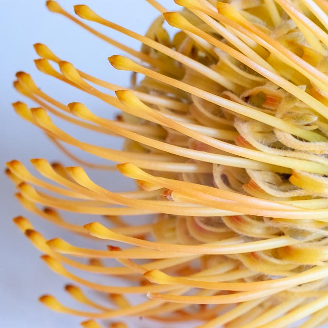 Fujifilm FinePix S5 Pro gallery - Image 22