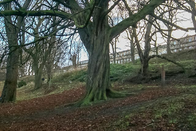 Kodak DC260 Zoom gallery - Image 8