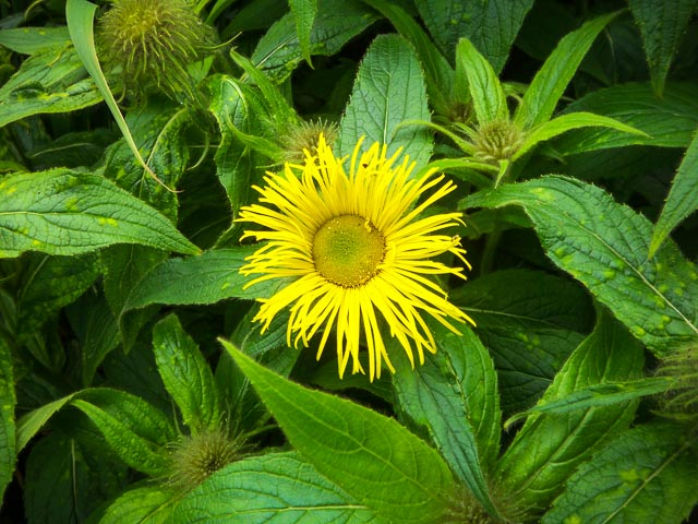 Kodak EasyShare V705 gallery - Image 13