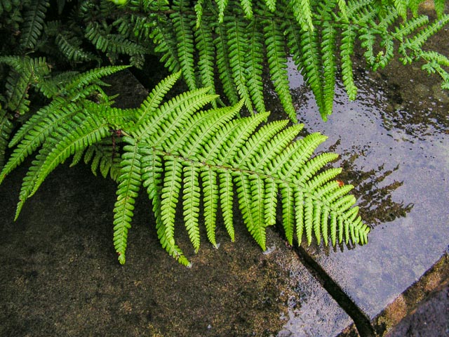 Konica Minolta DiMAGE Z10 gallery - Image 1