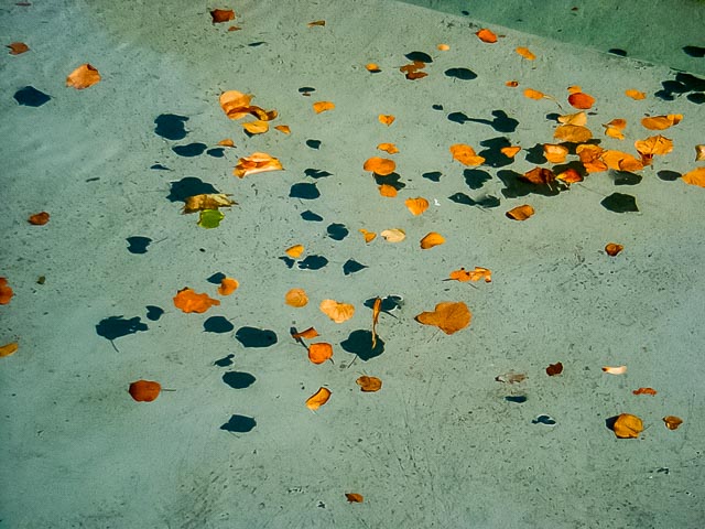 Minolta DiM&Acirc;GE EX Zoom 1500 gallery - Image 9