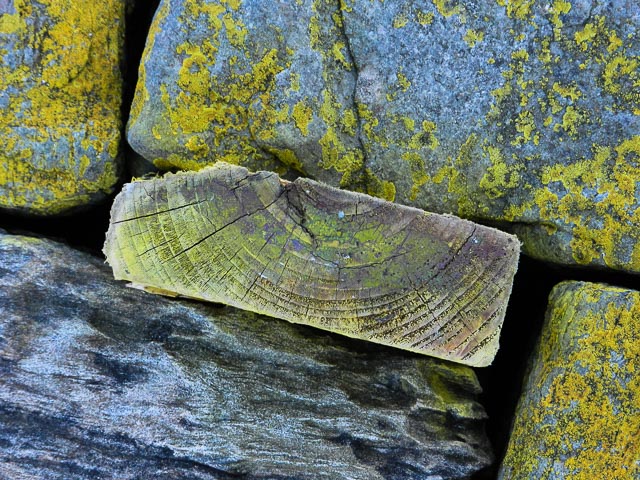 Nikon Coolpix P500 gallery - Image 5