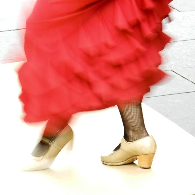 Nikon Coolpix P500 gallery - Image 9