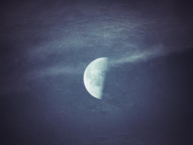 Nikon Coolpix P500 gallery - Image 17