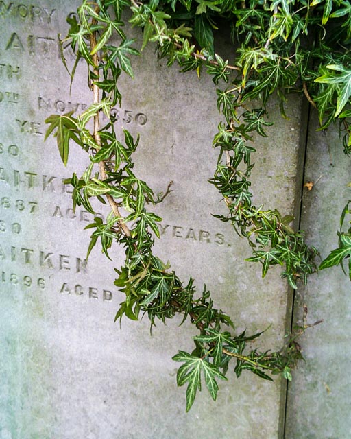 Olympus Camedia C-1400L gallery - Image 12