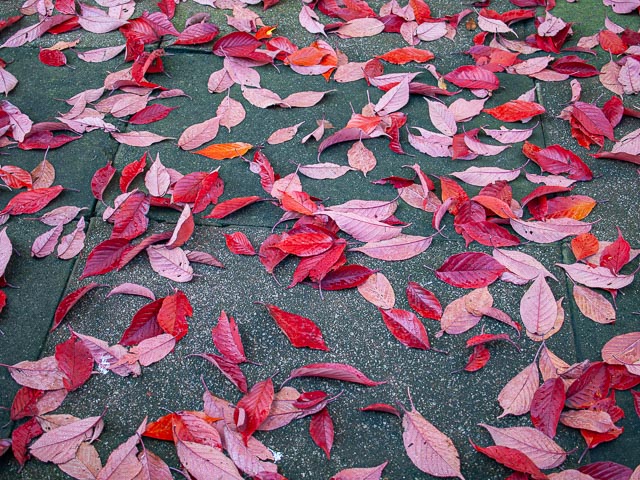 Olympus E-410 gallery - Image 10