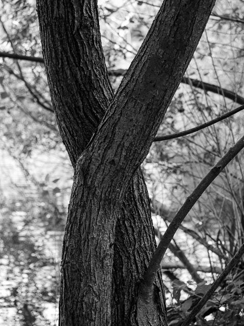 Panasonic Lumix DMC-G1 gallery - Image 22