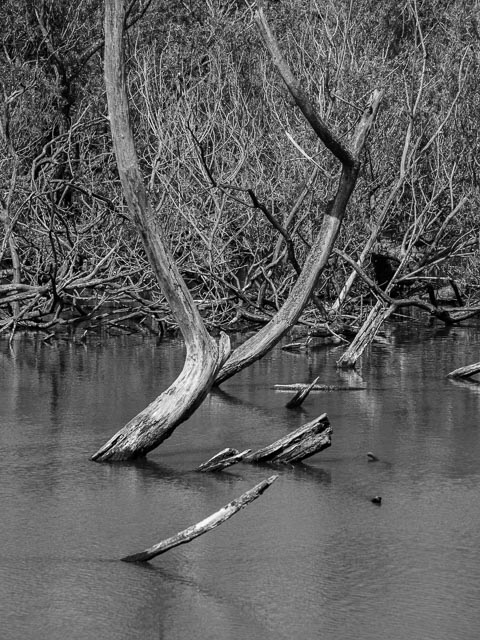 Panasonic Lumix DMC-G1 gallery - Image 23
