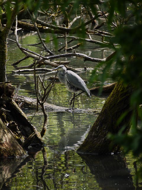 Panasonic Lumix DMC-G1 gallery - Image 27