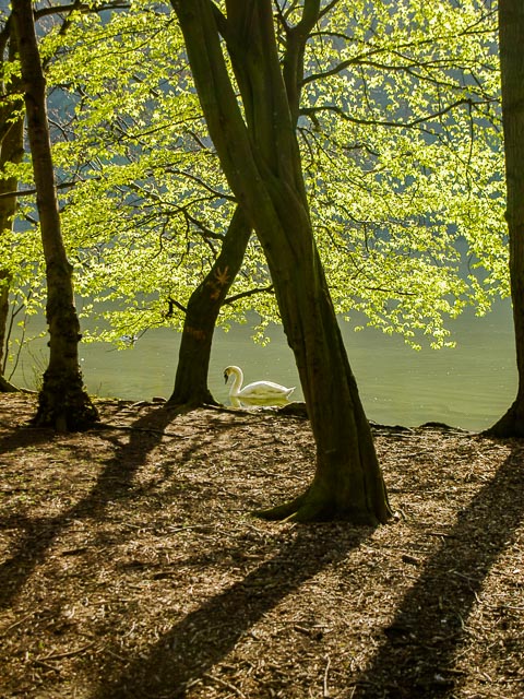 Pentax *ist D gallery - Image 2