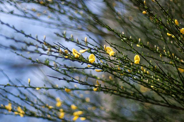 Pentax *ist D gallery - Image 14