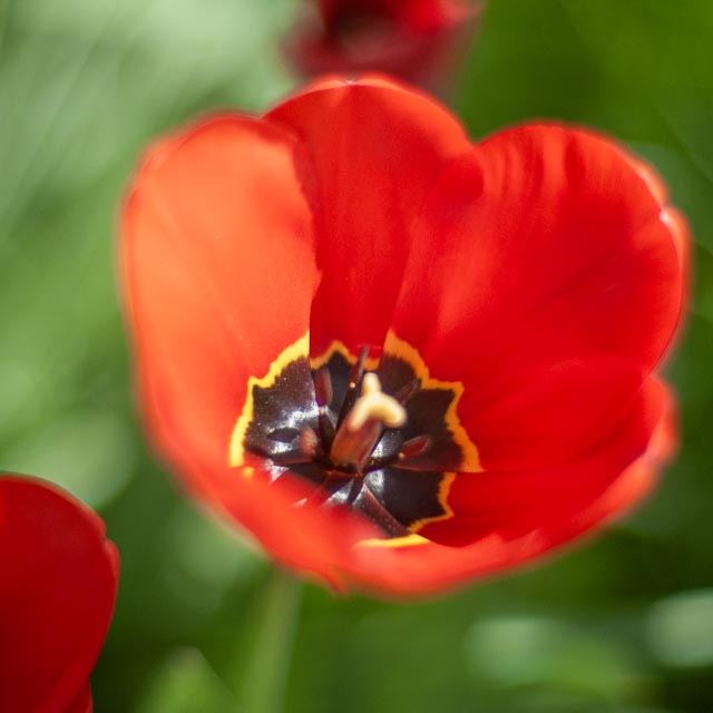 Pentax *ist D gallery - Image 18