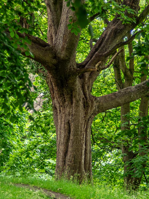 Pentax Q gallery - Image 28