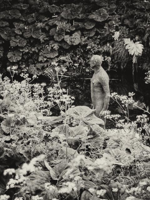 Pentax Q gallery - Image 27