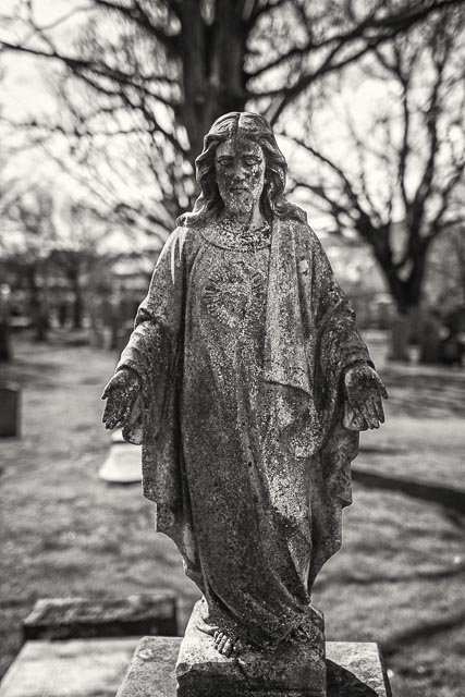 Sigma 24mm F/1.4 Art - Image 11