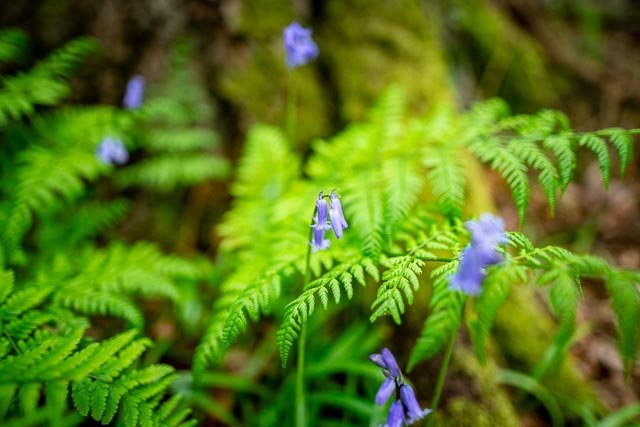 Sigma 24mm F/1.4 Art - Image 14
