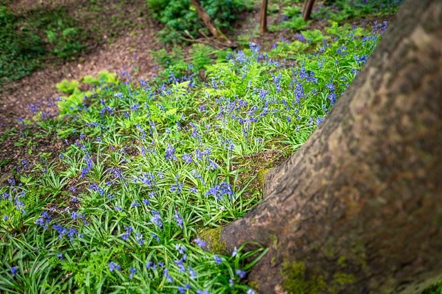 Sigma 24mm F/1.4 Art - Image 19