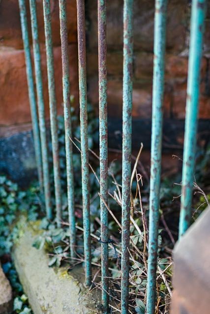 Sigma 50mm F/1.4 Art - Image 18