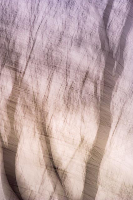 Sigma SD14 gallery - Image 4