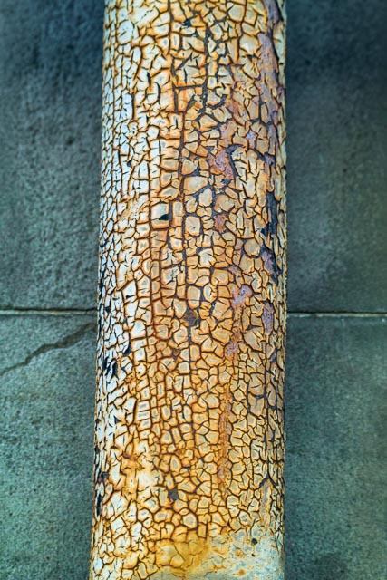 Sigma SD14 gallery - Image 6