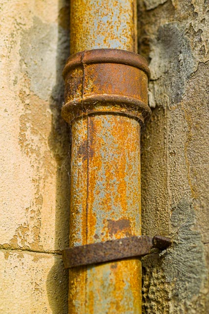 Sigma SD14 gallery - Image 9