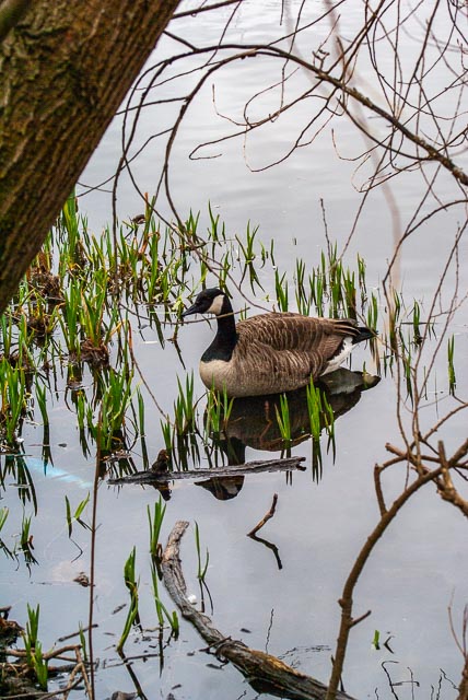 Sony Alpha DSLR-A100 gallery - Image 9