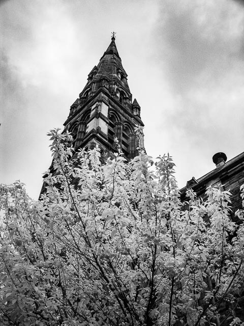 Sony Cyber-shot DSC-F828 infrared gallery - Image 5