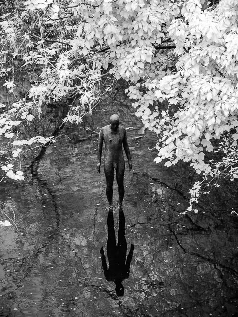 R72 infrared gallery - Image 12