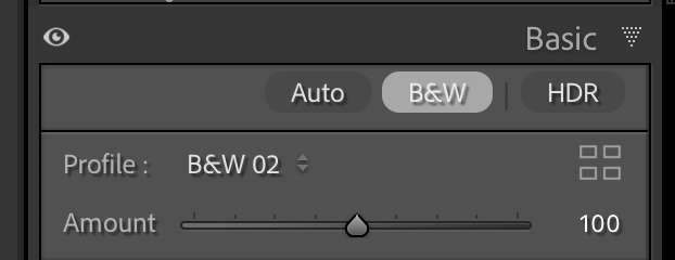 Adobe Lightroom Basic Panel with B&W 02 profile selected.