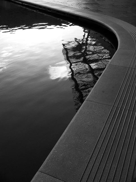 Black and white gallery image 33