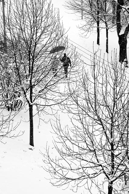 Black and white gallery image 31