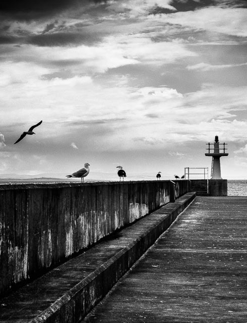 Black and white gallery image 30