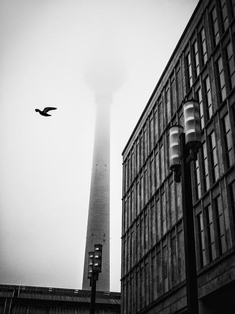 Black and white gallery image 23