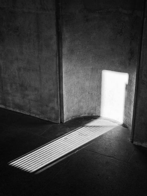 Black and white gallery image 22