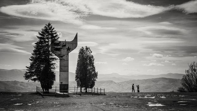 Black and white gallery image 12