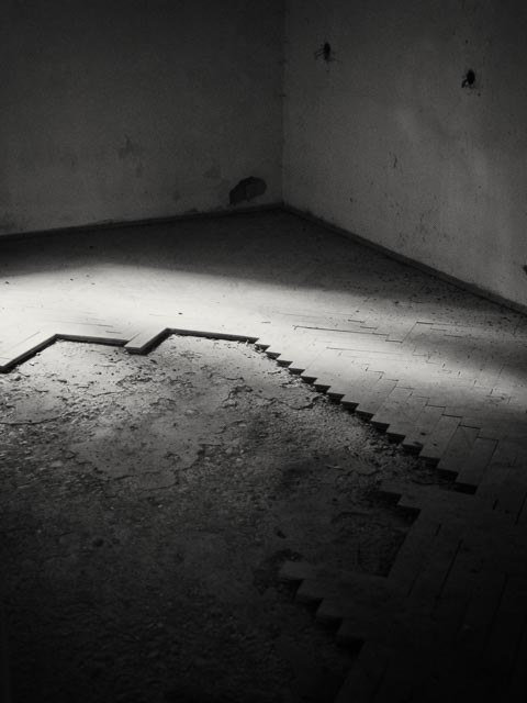 Black and white gallery image 11