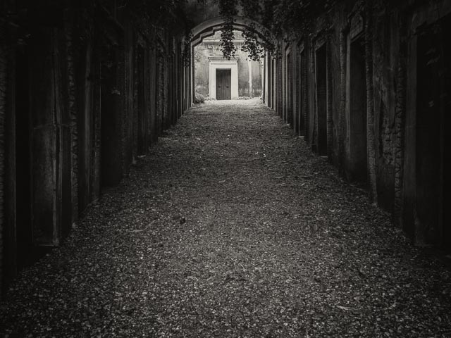 Black and white gallery image 4