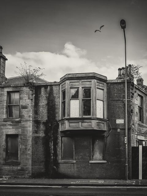 Black and white gallery image 2