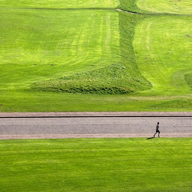 Colour gallery image 5