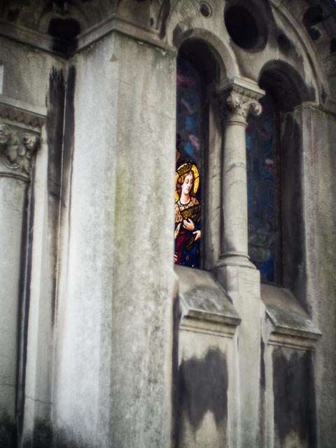 Colour gallery image 18