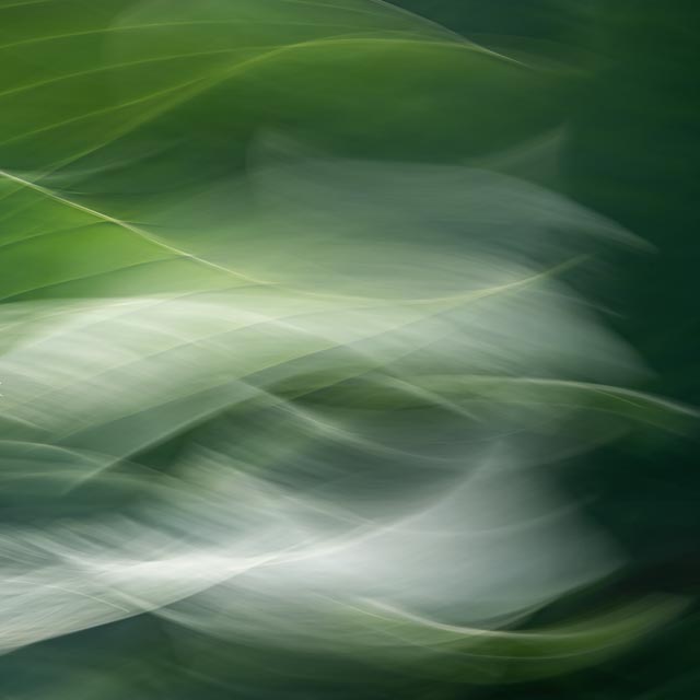 Intentional camera movement - Multiple exposures 13