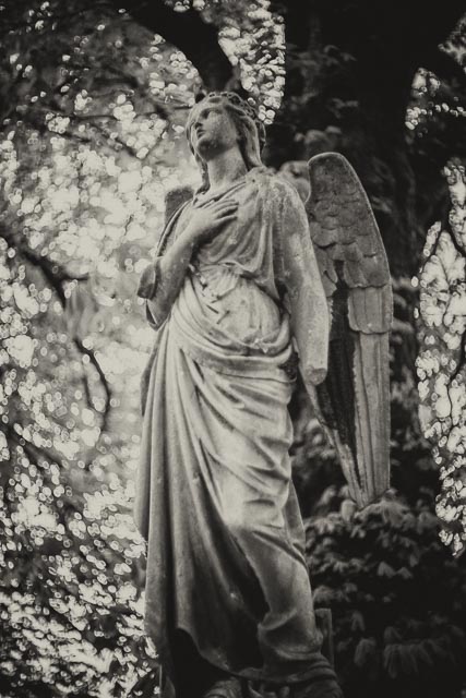 All Souls Cemetery, Kensal Green gallery - Image 12